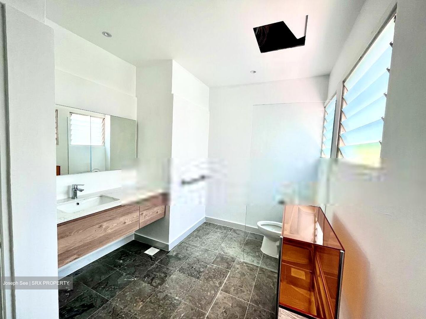 Sommerville Park (D10), Condominium #568393241